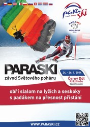 paraski poster